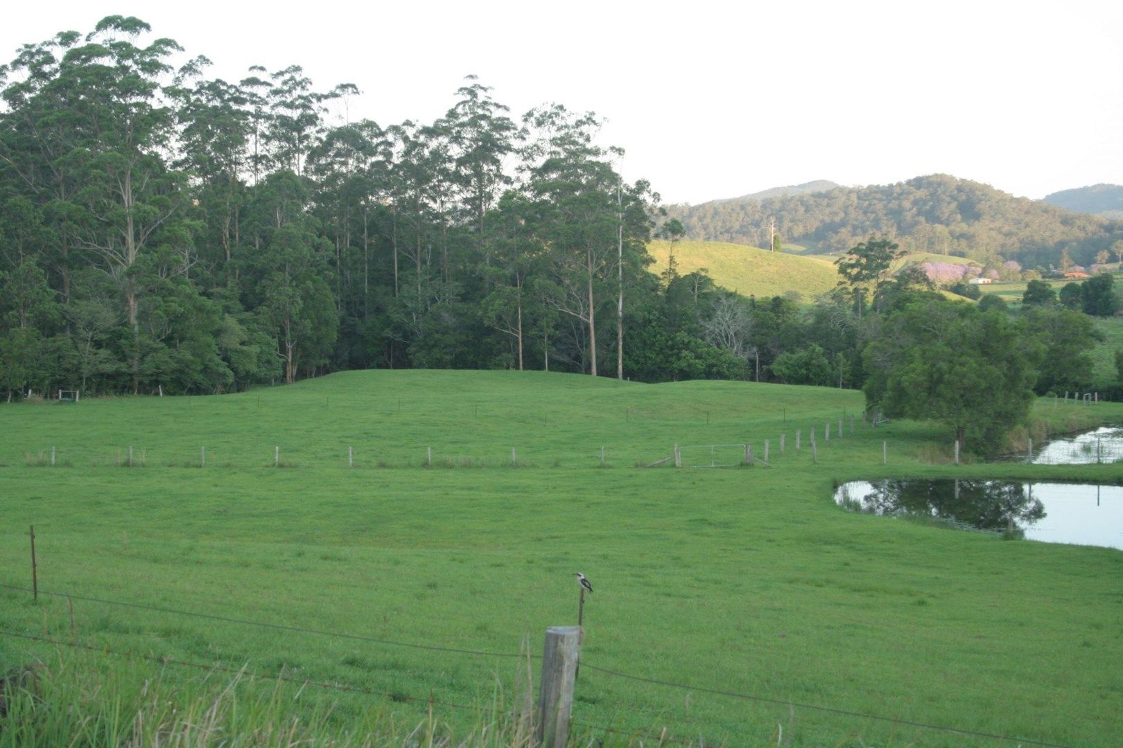 86 Butts Creek Rd, Taylors Arm NSW 2447, Image 0