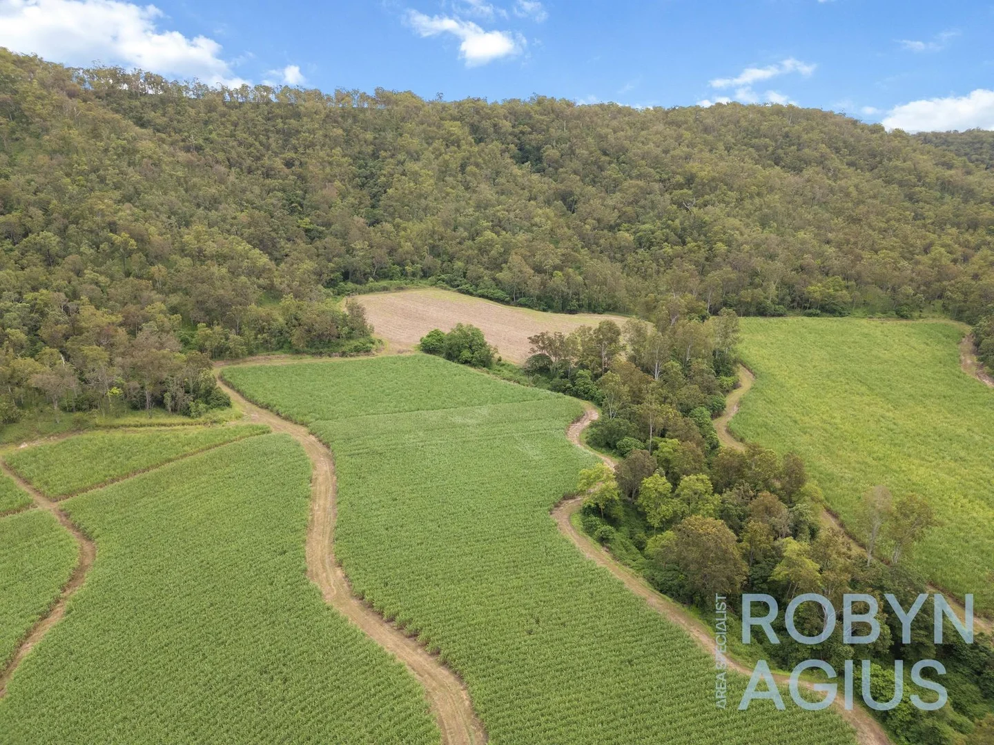 Additional image 16 of Pinnacle QLD 4741