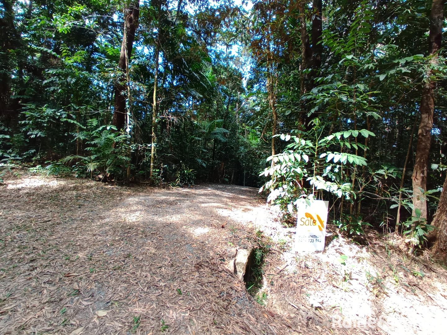 132 George Road, FOREST CREEK, Daintree QLD 4873, Image 2