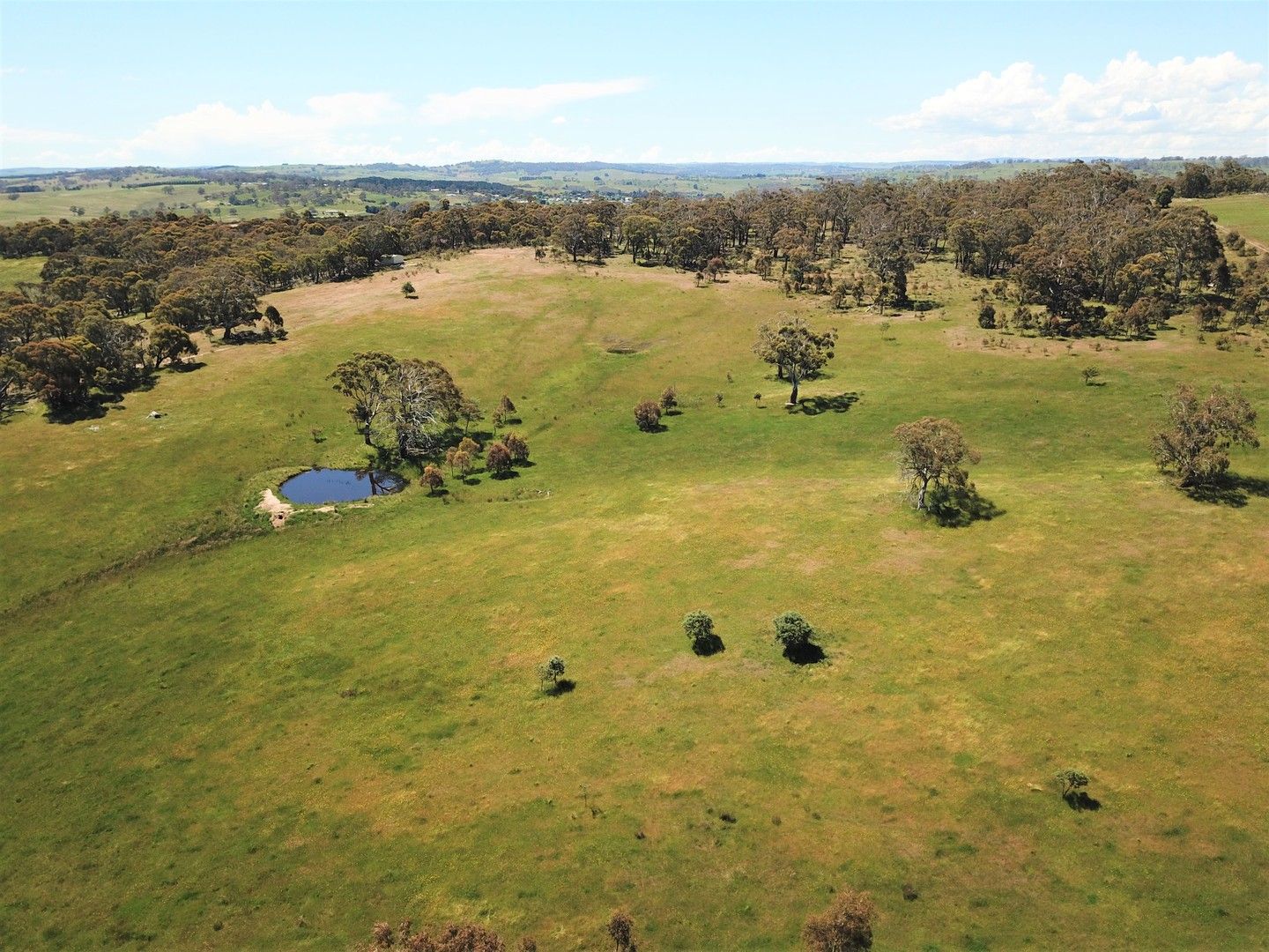 Lot 2 Rosemeath Road, Bombala NSW 2632, Image 0