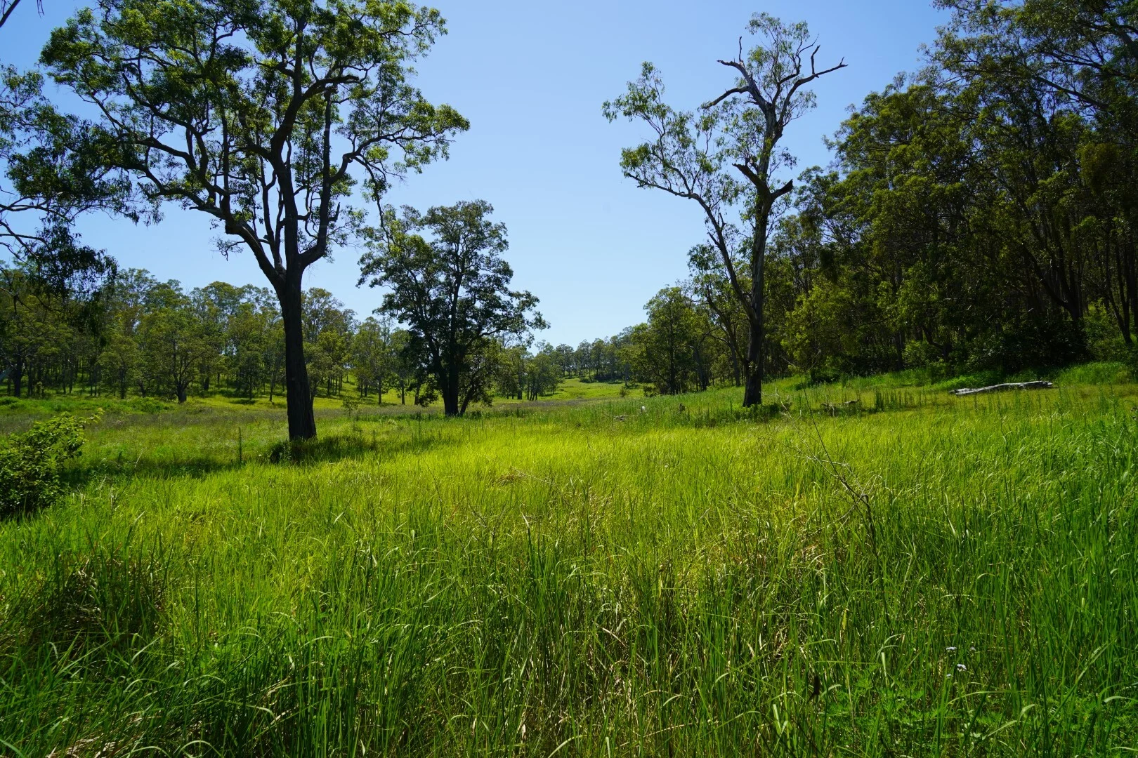 Additional image 6 of 113 Bruxner Highway, Casino NSW 2470