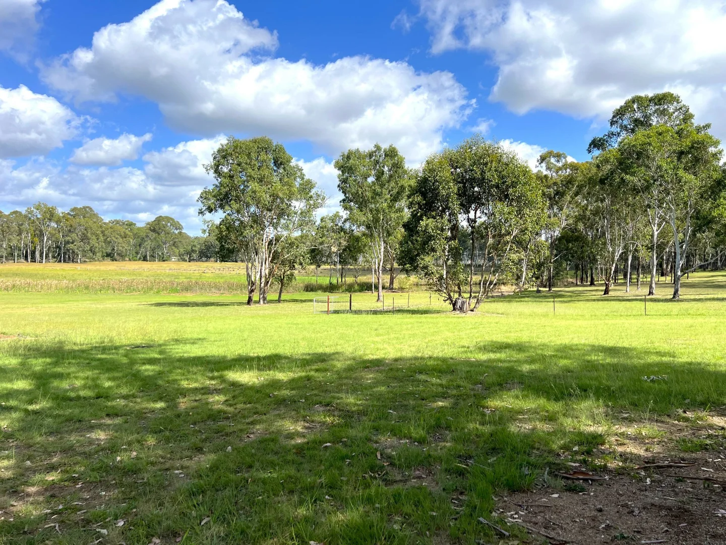 Image 21
