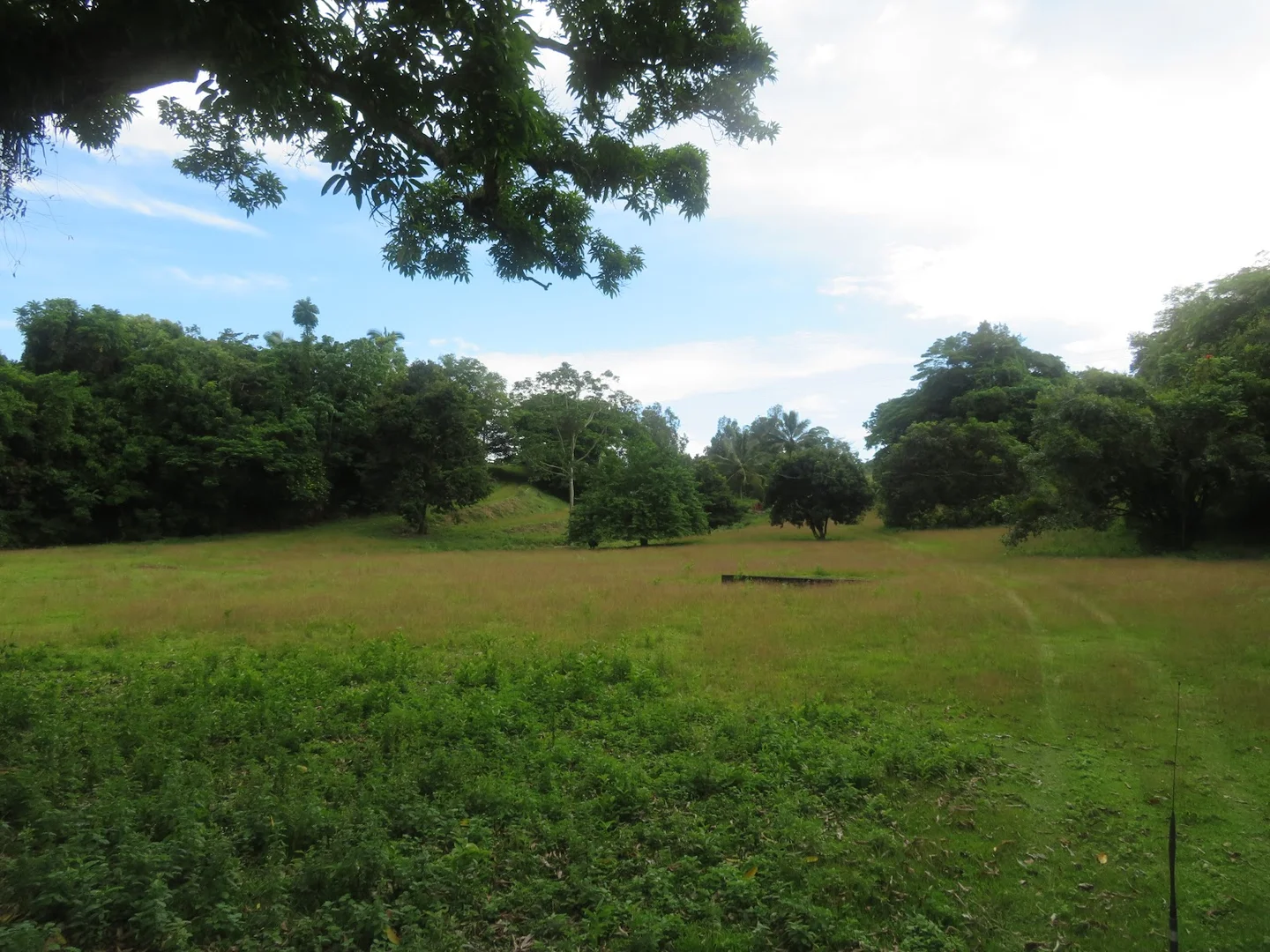 Image 27