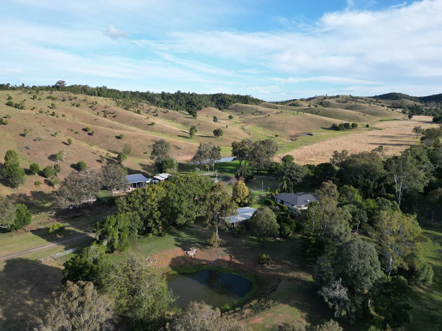 Image 12