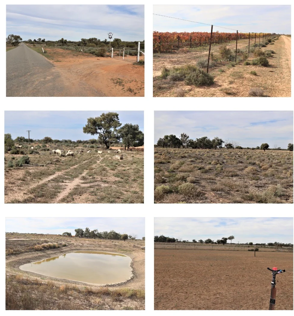 Image 12