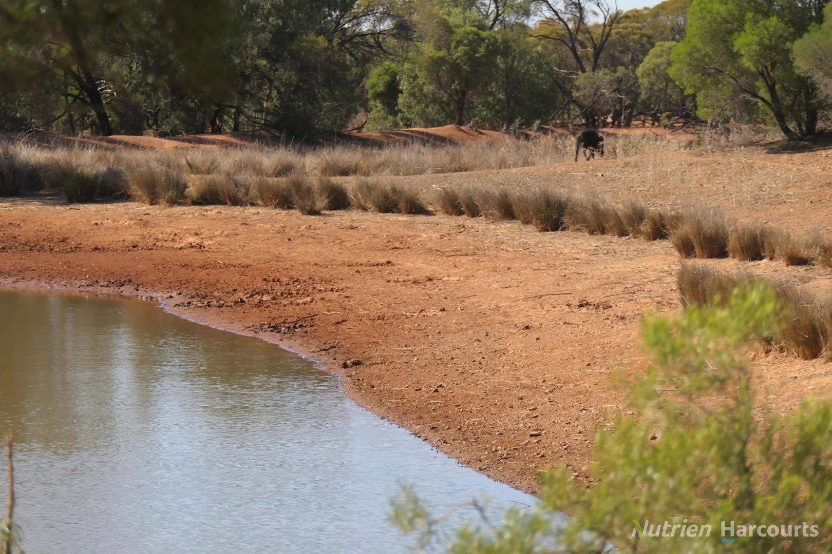 Additional image 19 of 27 Singleton Drive, Cobar NSW 2835