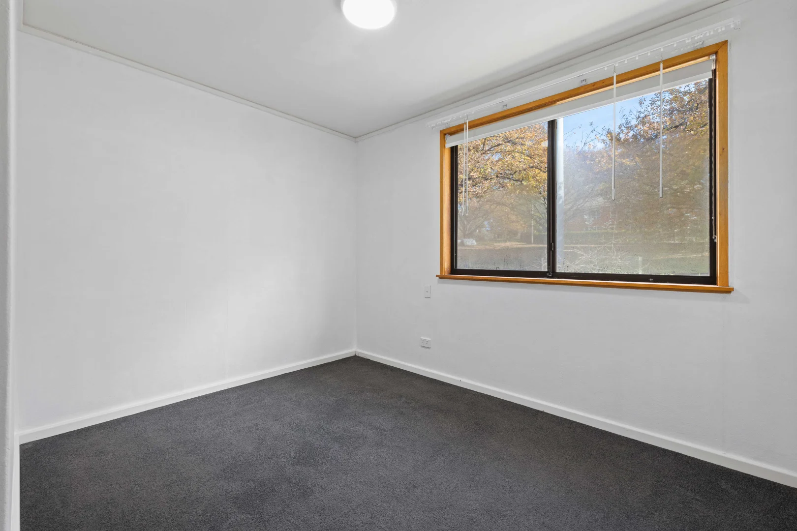 Additional image 7 of 16A MacKennal Street, Lyneham ACT 2602