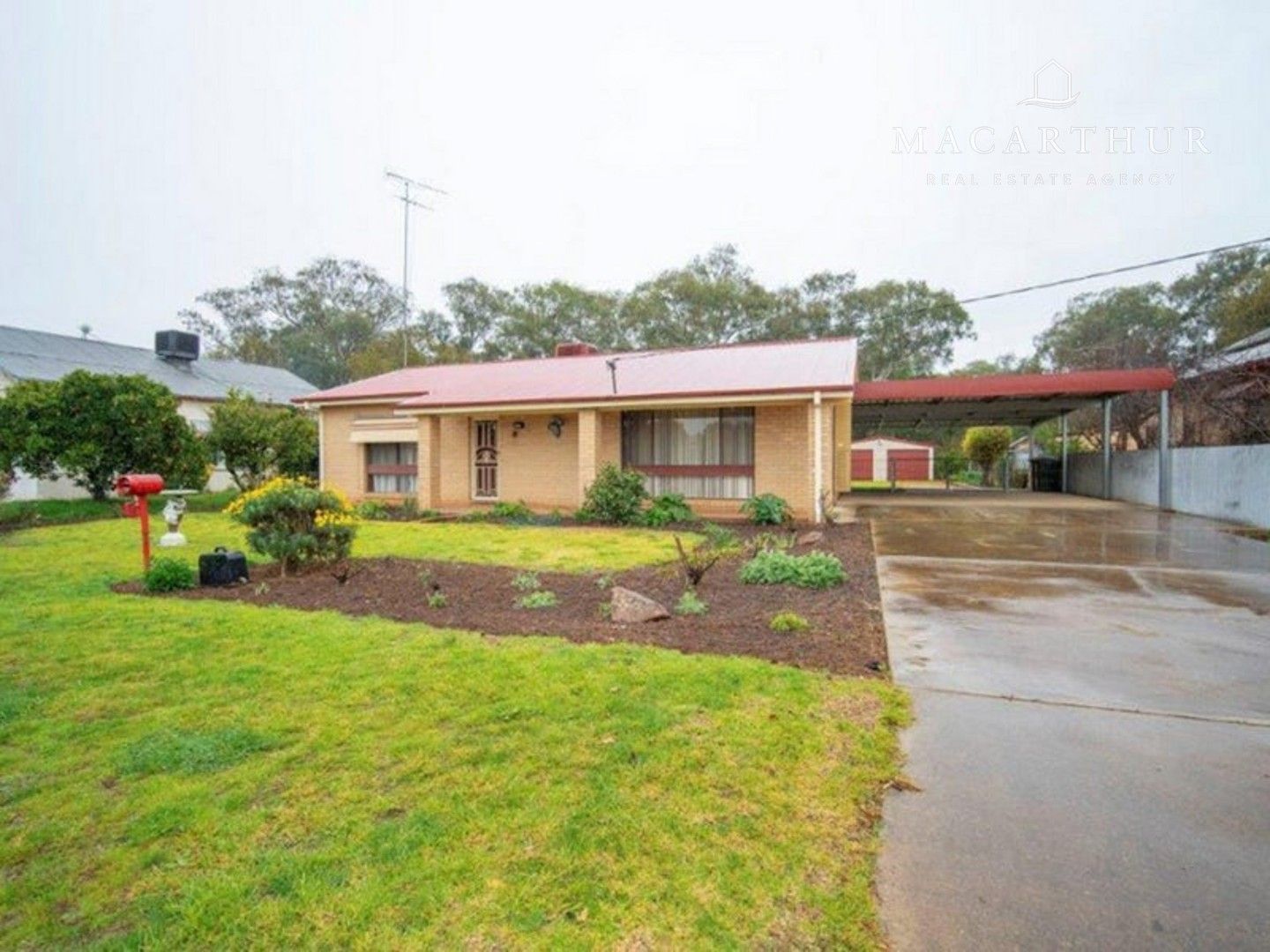 12 Norman Street, The Rock NSW 2655 House For Rent Domain