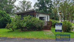 Picture of Holiday Park Denison Street, GLOUCESTER NSW 2422