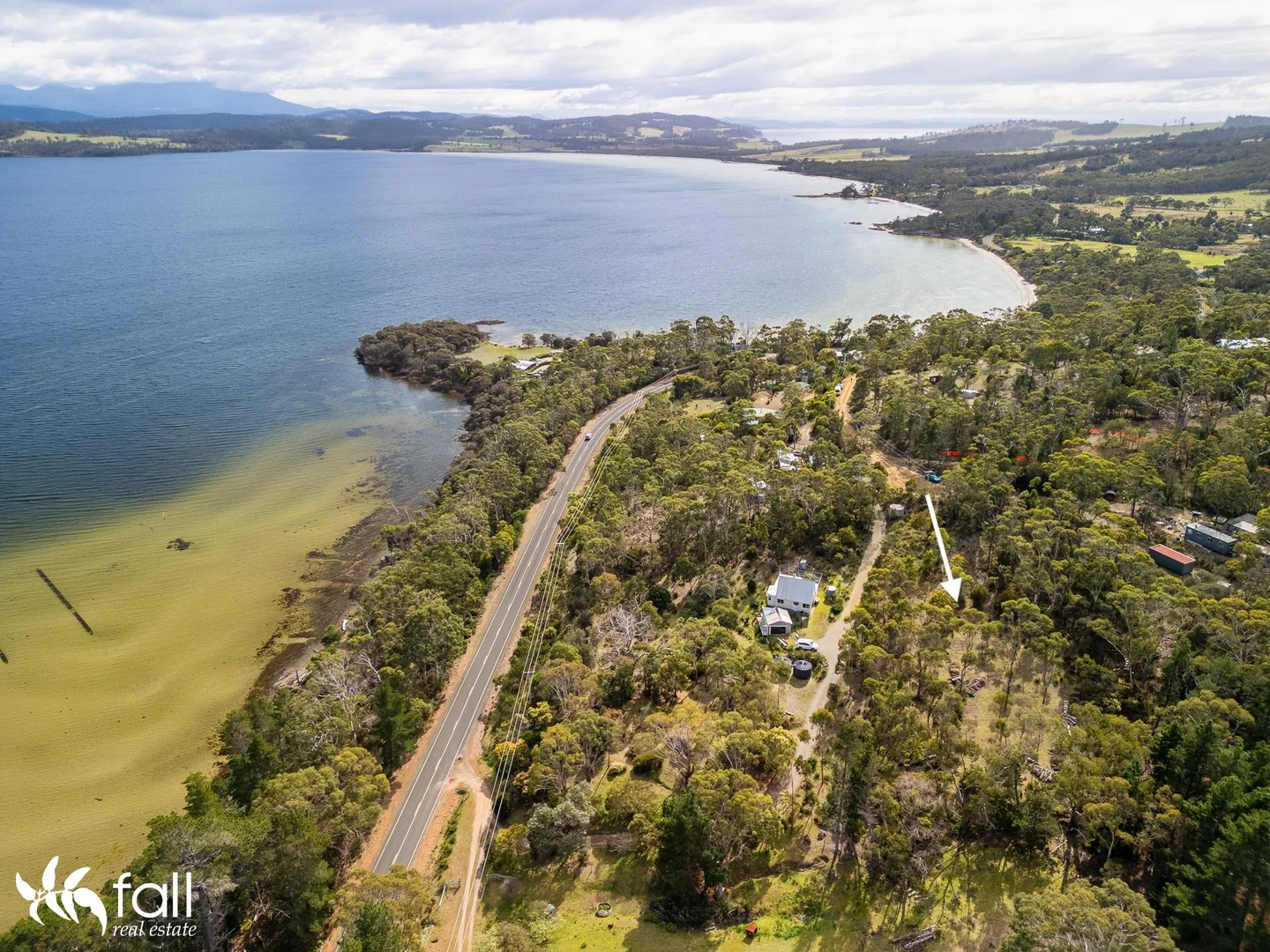 Image 14