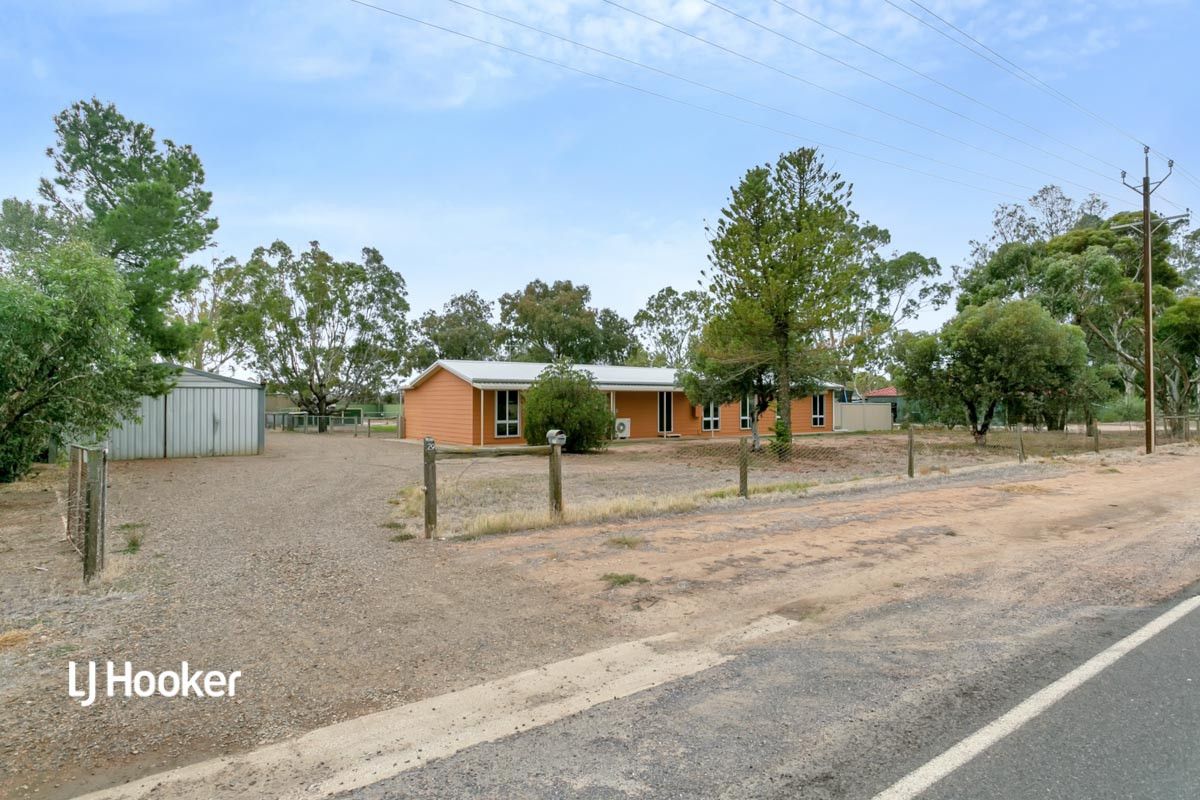 29 Hayman Road, Two Wells SA 5501 Domain