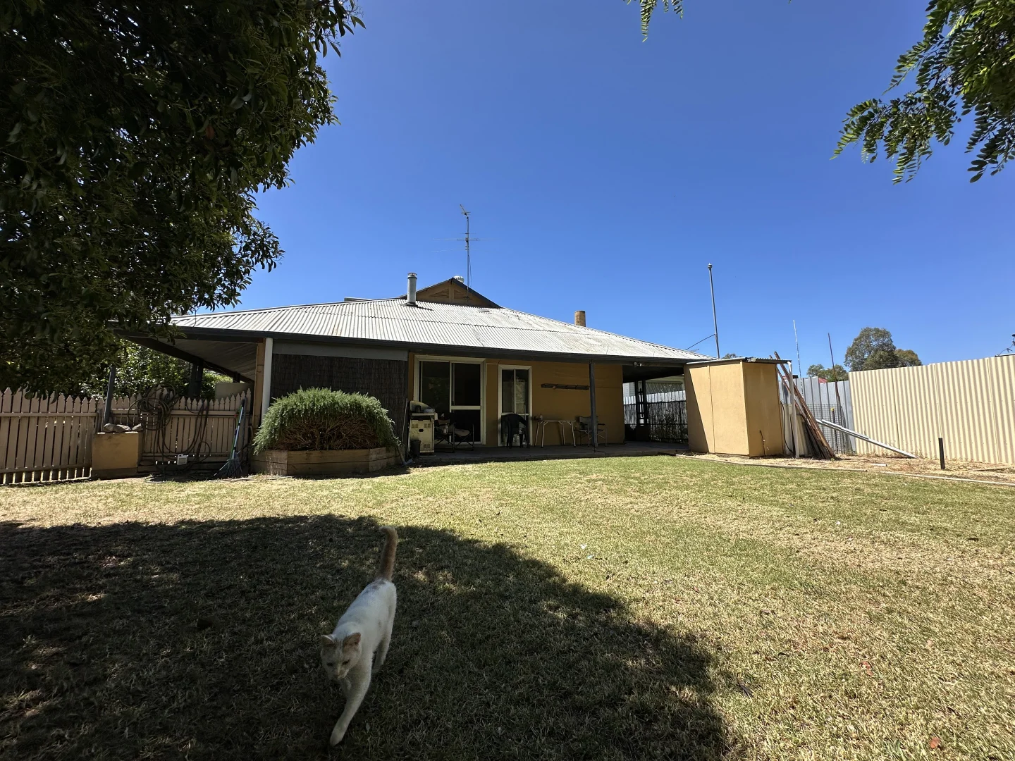 Additional image 10 of 15 Wattle Street, Culcairn NSW 2660