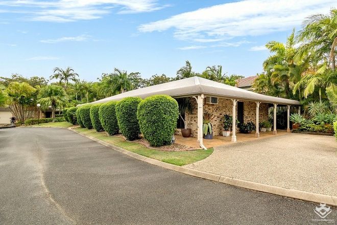 Picture of 442 Pine Ridge Road, COOMBABAH QLD 4216