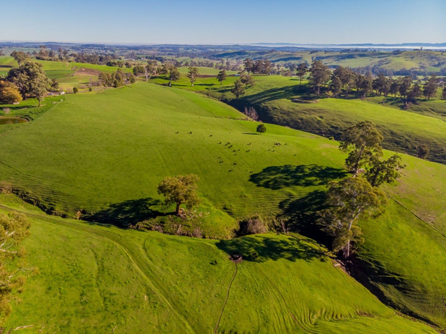 525 Mountain ViewMcdonalds Track, Mountain View Property History