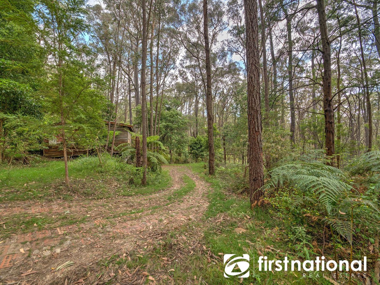 420 Mt Eirene Road, Gembrook VIC 3783, Image 2