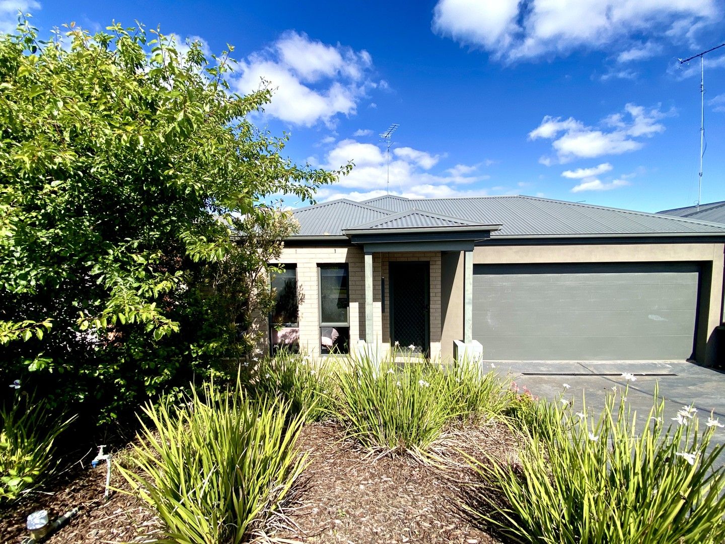 4 bedrooms House in 13 Ebbtide Drive LEOPOLD VIC, 3224