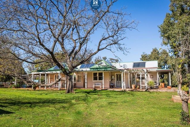 Picture of 536 Copeton Dam Road, GUM FLAT NSW 2360