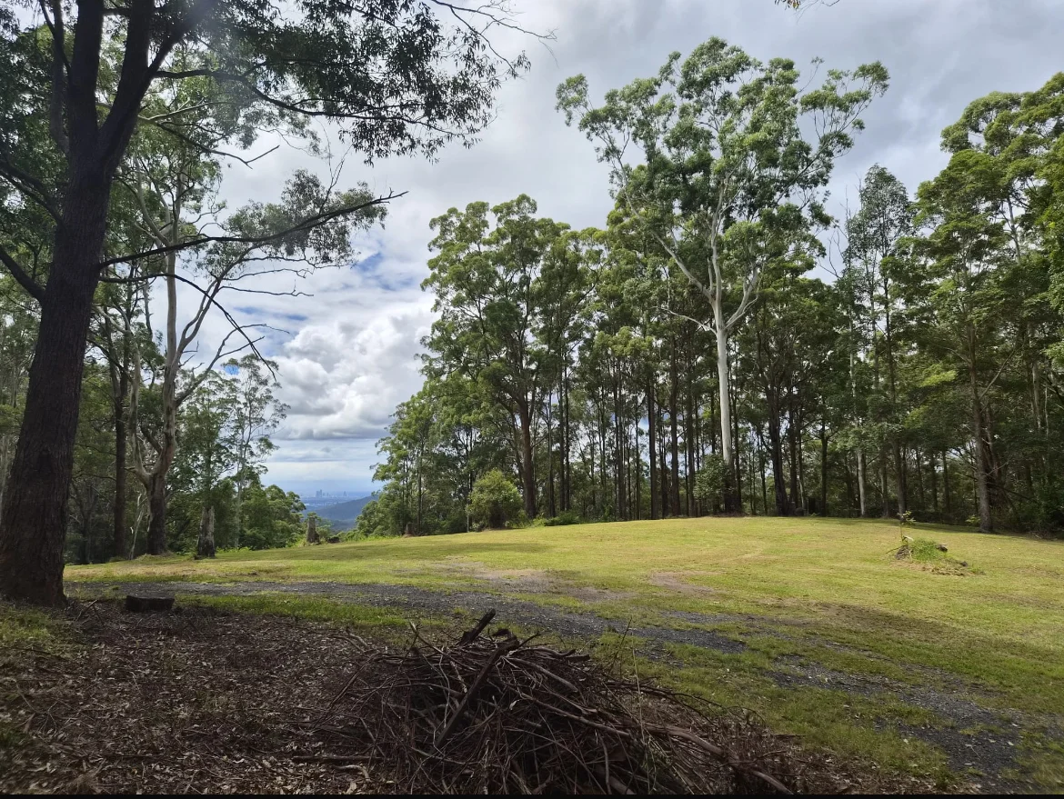 Additional image 6 of 1806 Gold Coast Springbrook Road, Springbrook QLD 4213