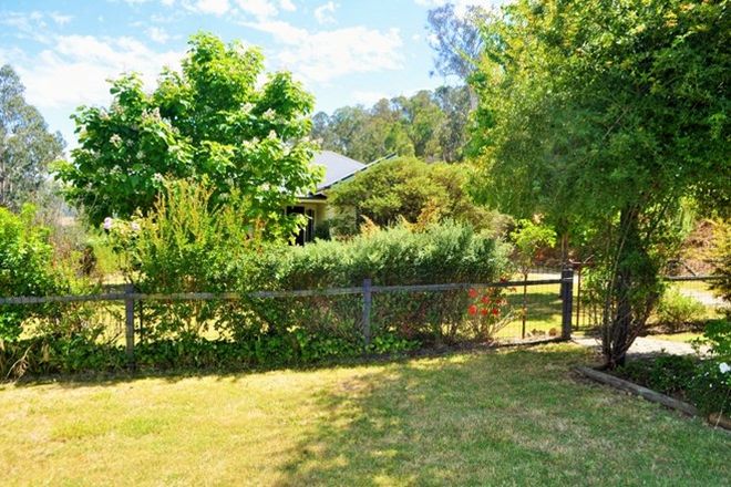 Picture of 231 Scrubby Creek Road, MITTA MITTA VIC 3701