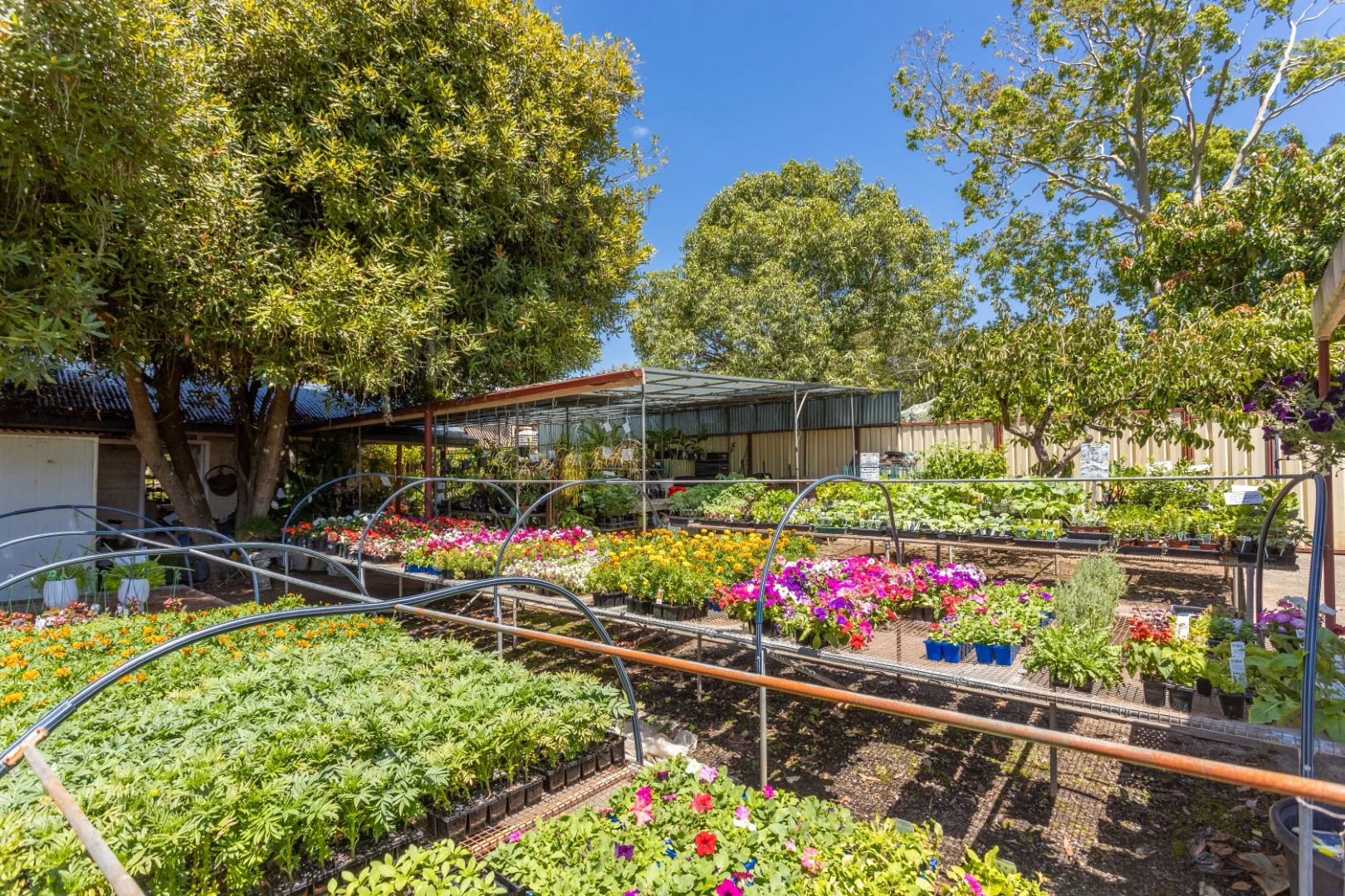 Additional image 7 of 1-5 William Street, Wingham NSW 2429