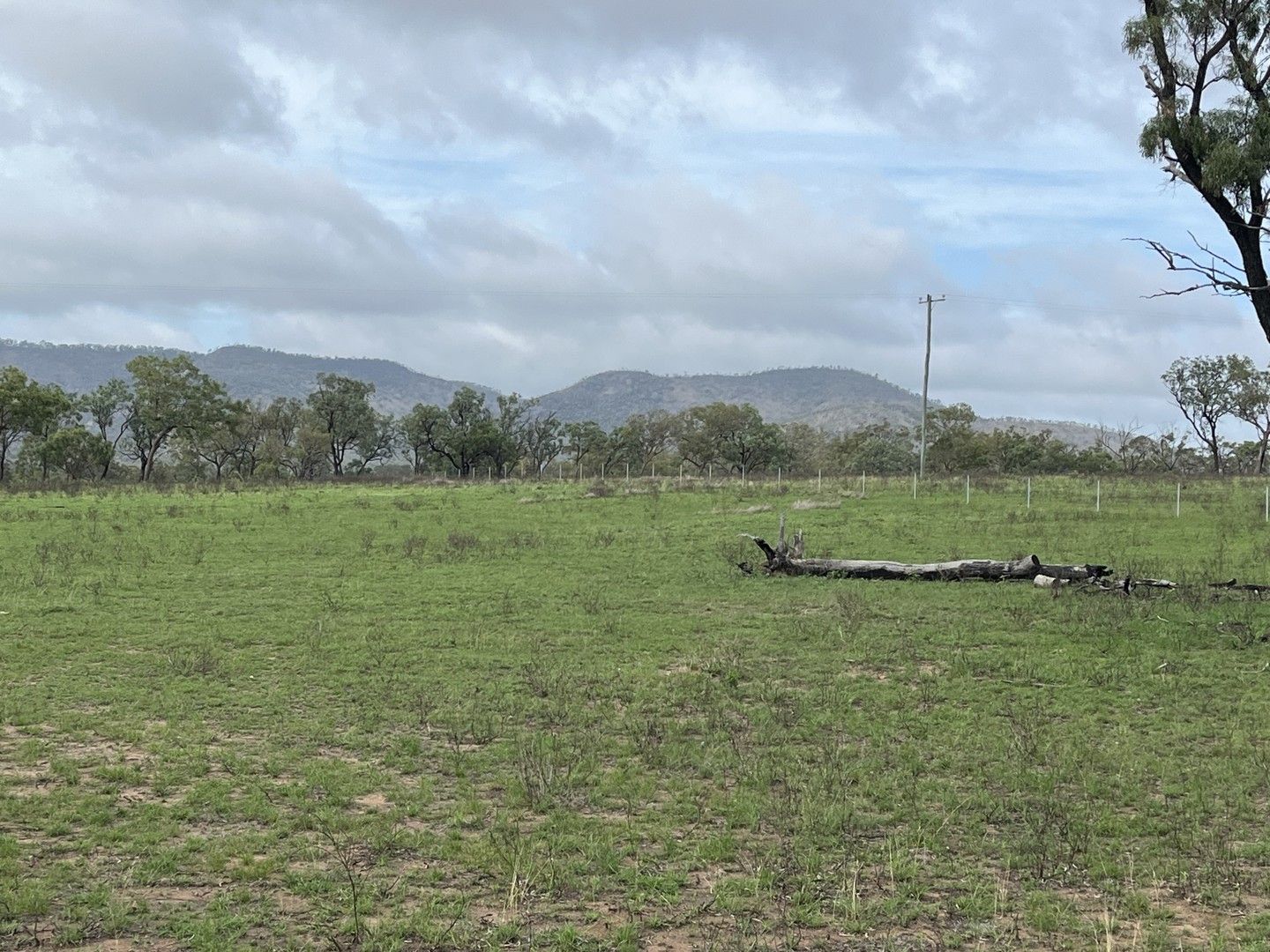 QLD 4702 House for Sale 370,000 375,000 Domain