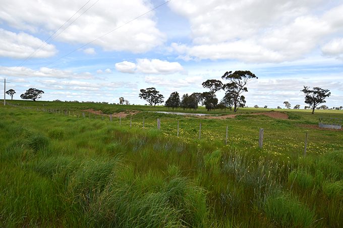 McEwen Road, Stanhope South VIC 3623, Image 2