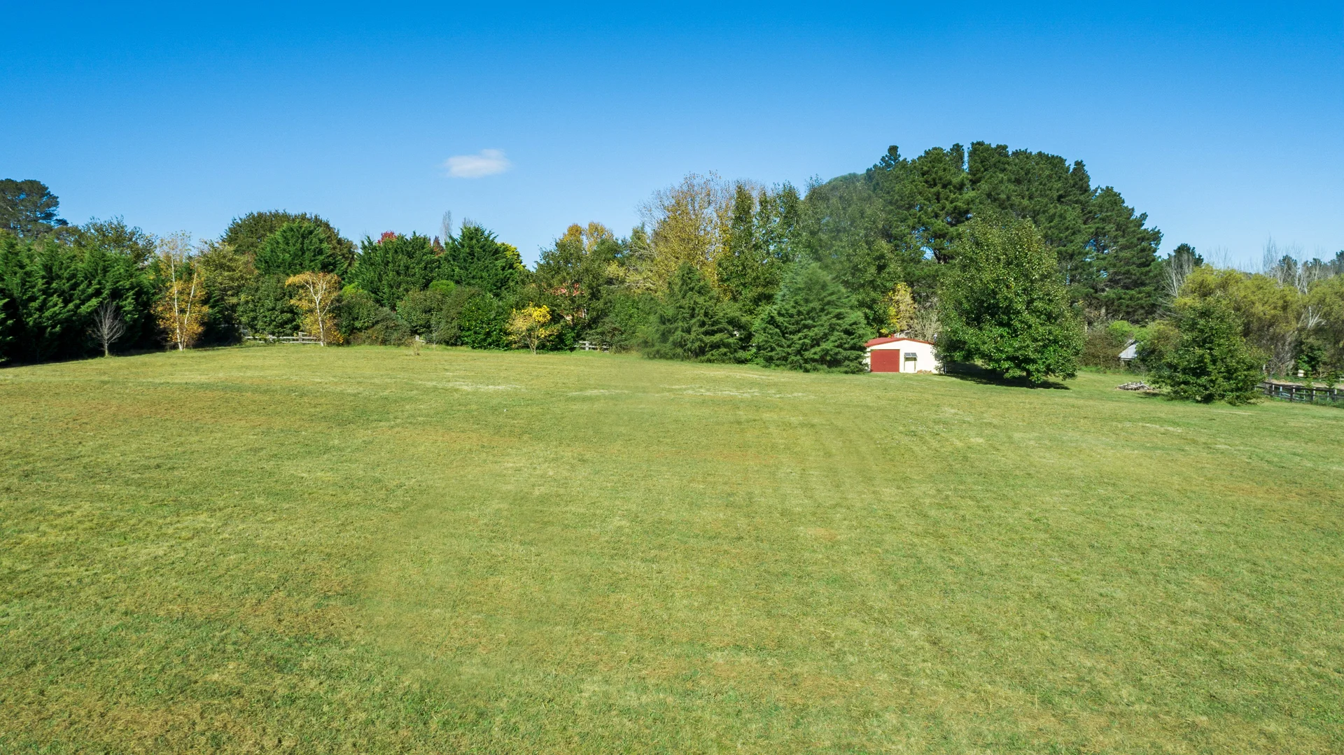 Image 13