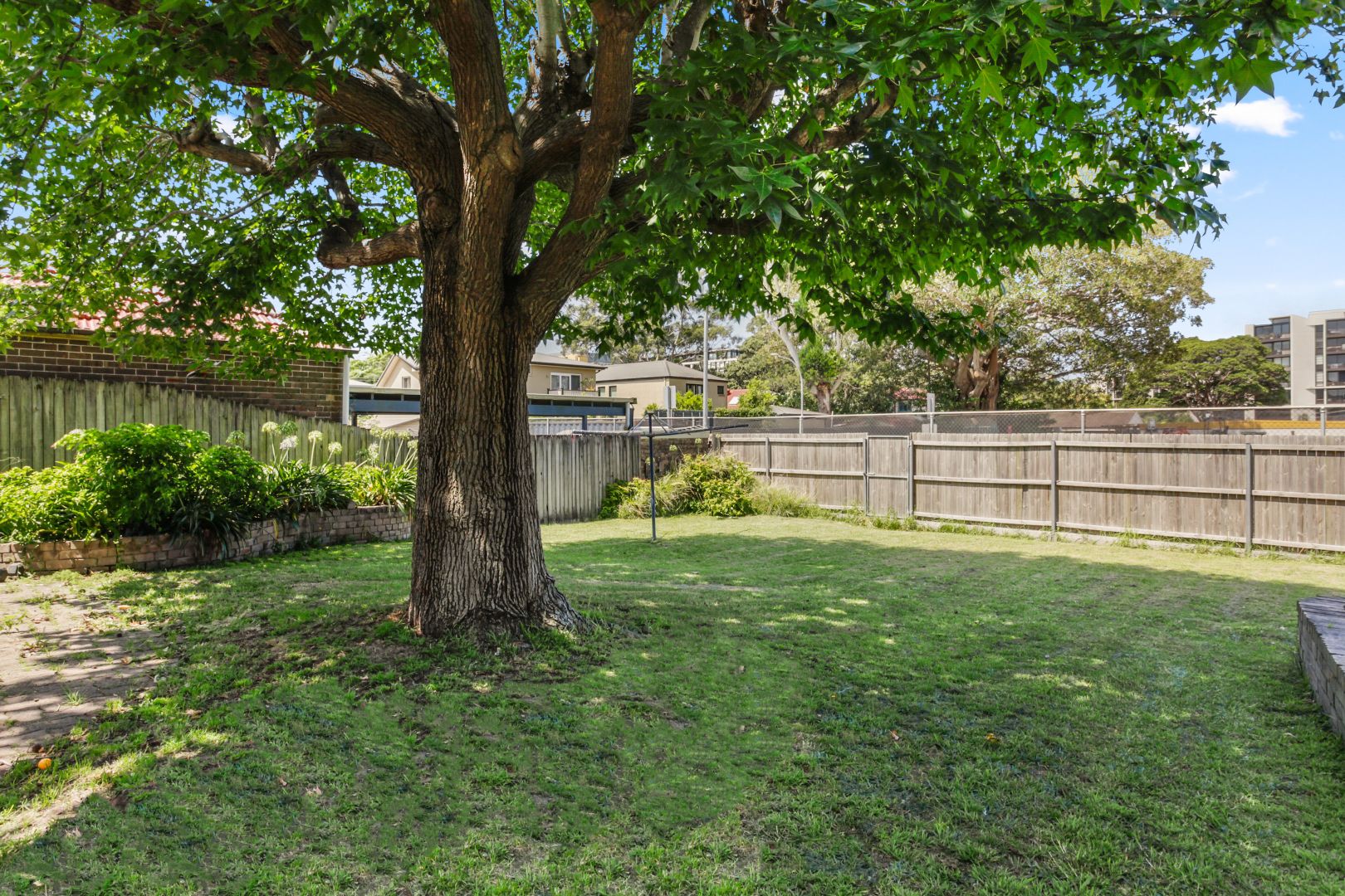 157 Botany Street, Randwick NSW 2031, Image 1