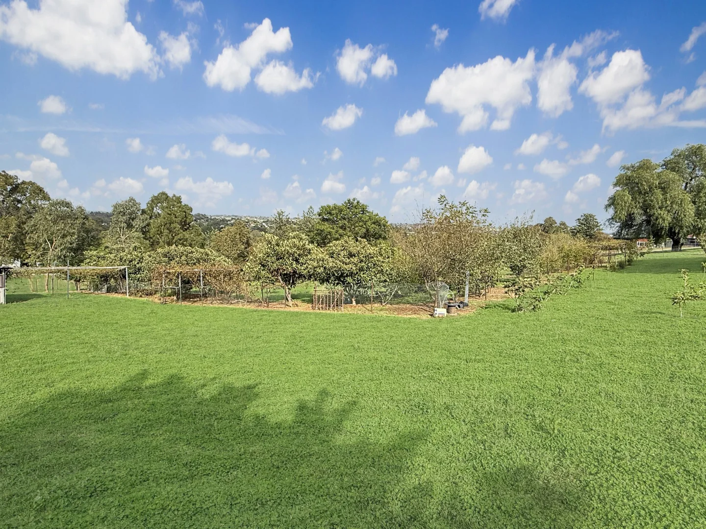 Additional image 23 of 28 Nasmyth Street, Young NSW 2594