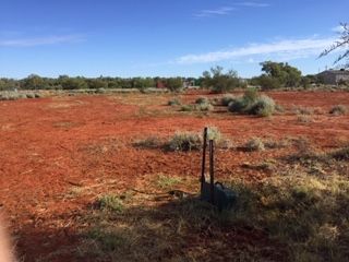 39 Leo Street, Eulo QLD 4491, Image 1