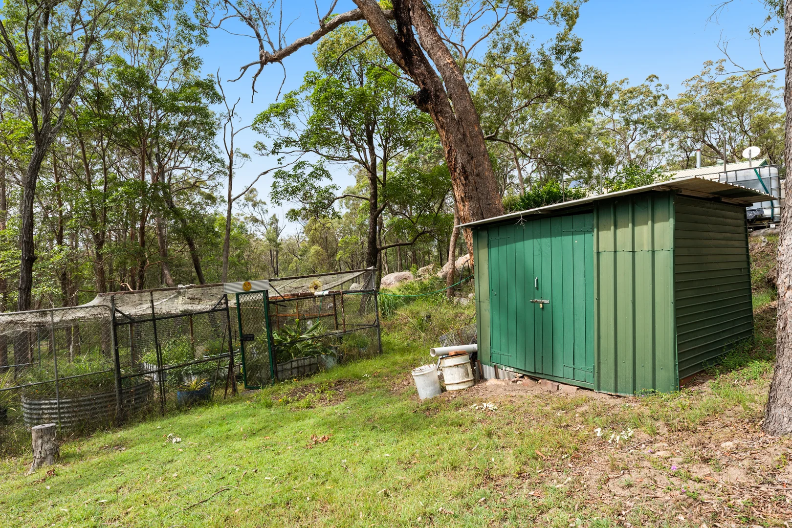 Image 13