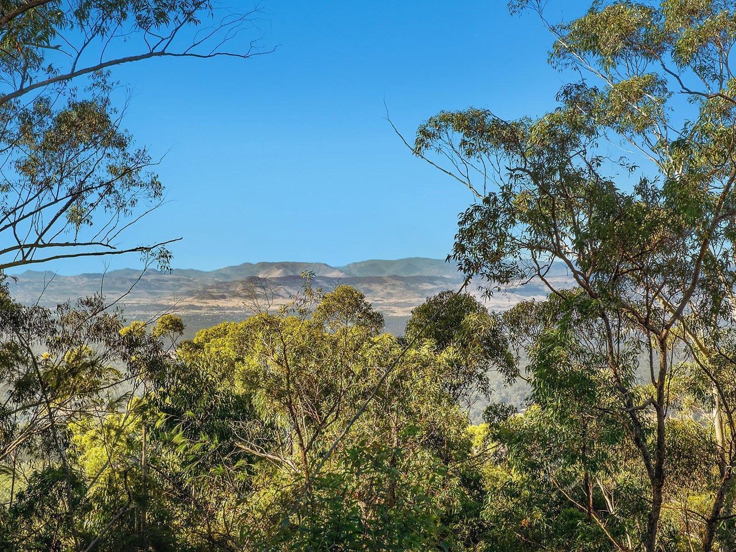 Lot 11 Fernbank Road, Cabarlah QLD 4352, Image 0