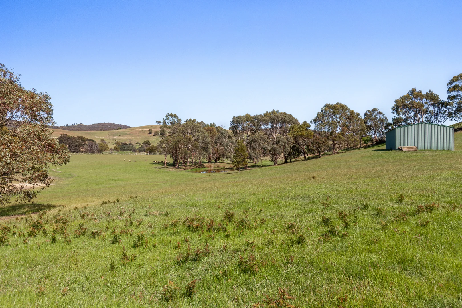 Image 13