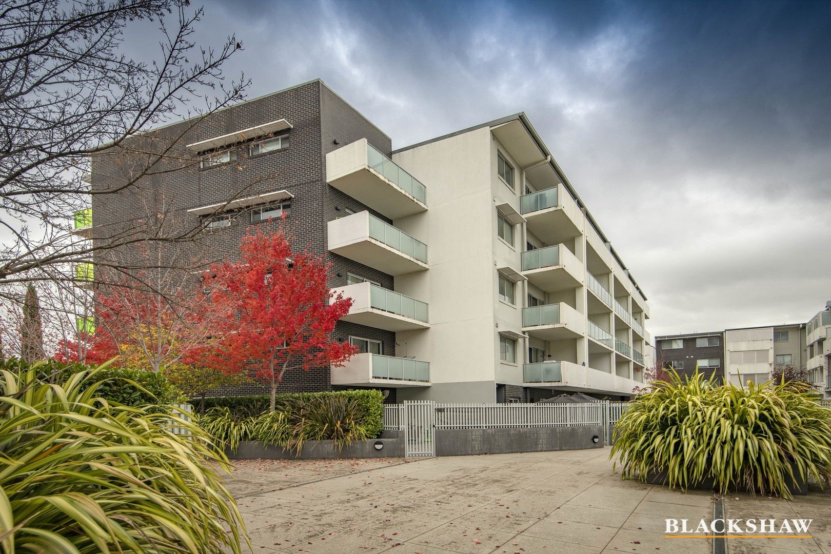 178/142 Anketell Street, Greenway ACT 2900, Image 0