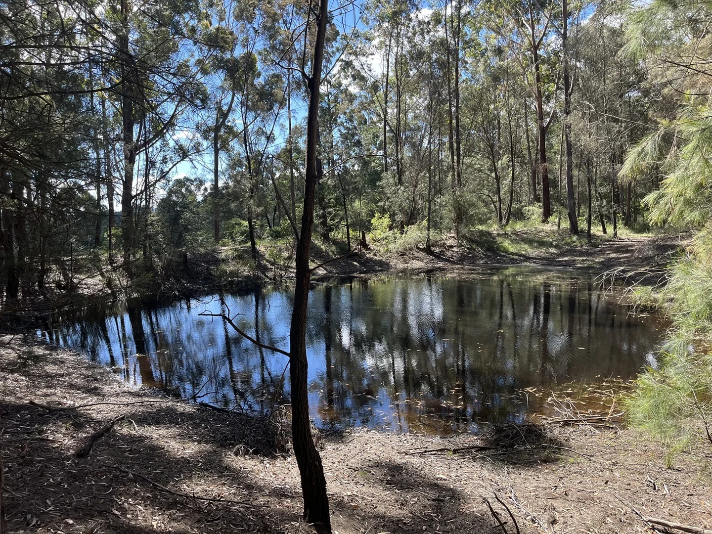 Image 23