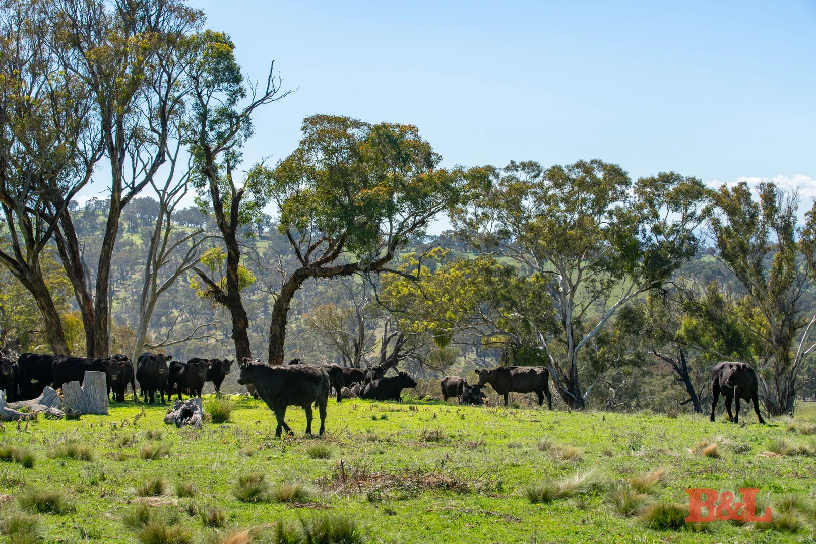 Additional image 4 of 1916 Mid Western Highway, Bathampton via, Bathurst NSW 2795