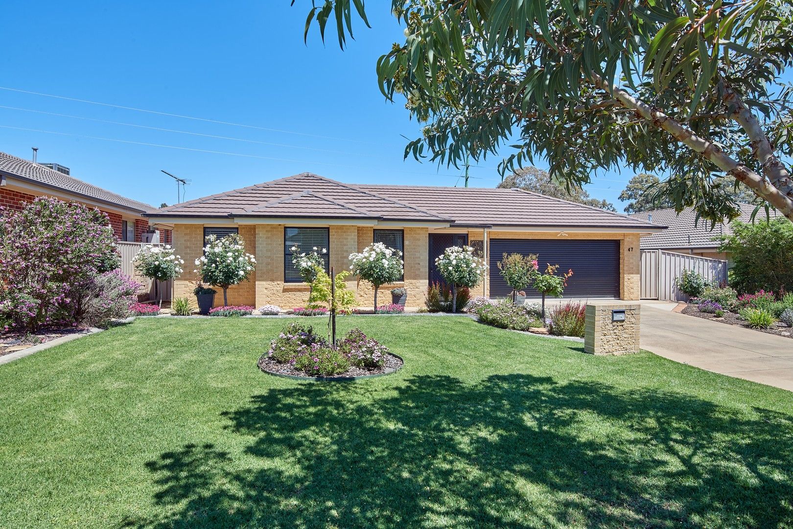 47 Swan Street, Flowerdale NSW 2650, Image 0