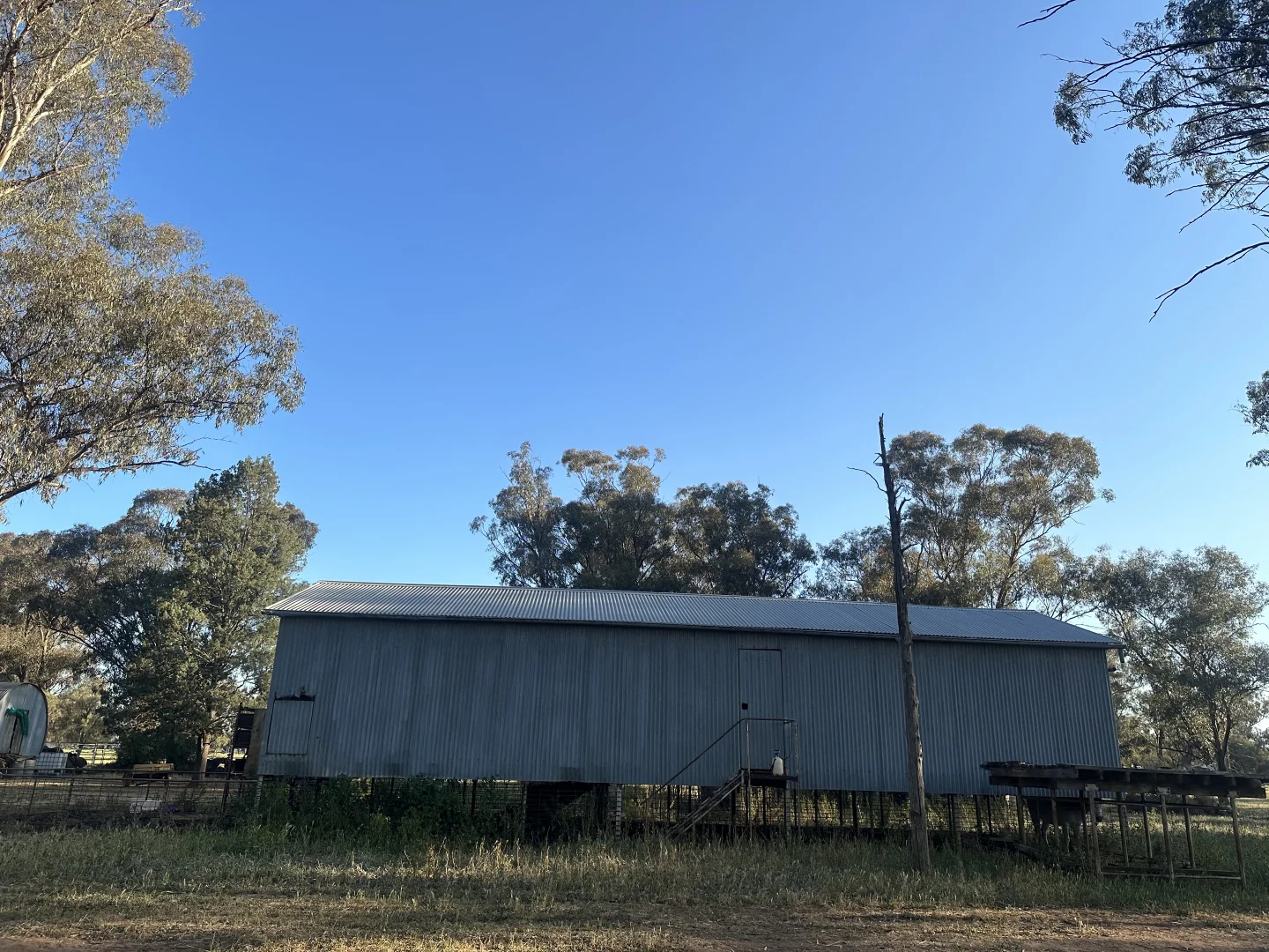 Image 19