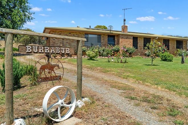 Picture of 348 Upper Lurg Road, LURG VIC 3673