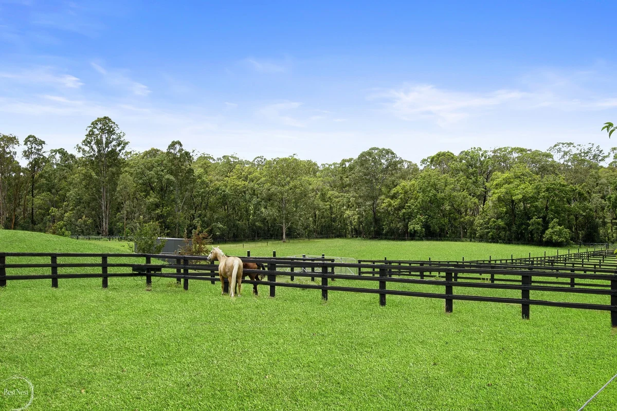Additional image 15 of 247d Creek Ridge Road, Glossodia NSW 2756