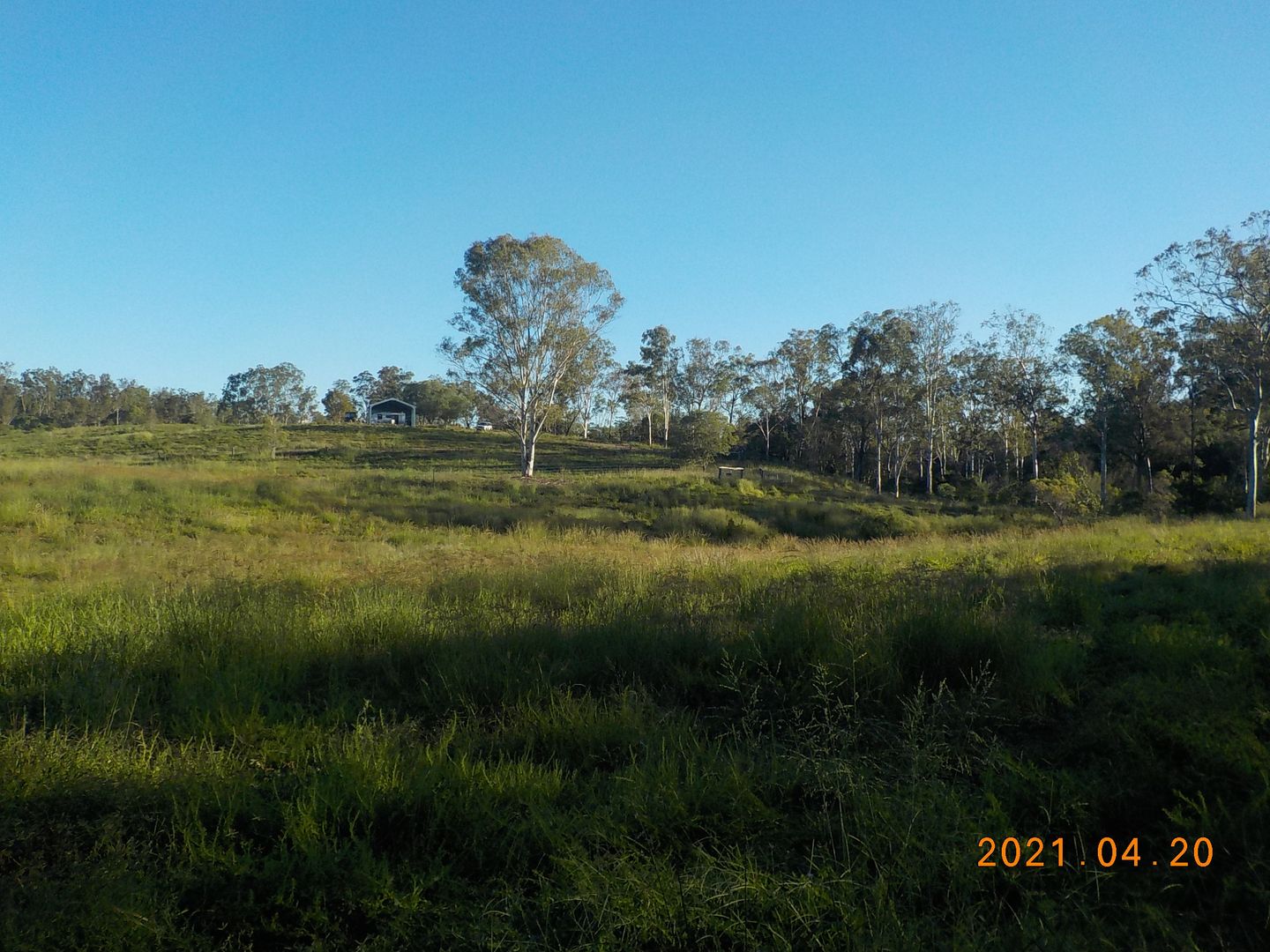 Specialist Farm in , GIN GIN QLD, 4671