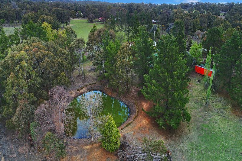 1335 Bundarra Road, Invergowrie NSW 2350, Image 1