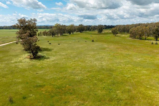 Picture of 29 Berry Jerry Road, COLLINGULLIE NSW 2650