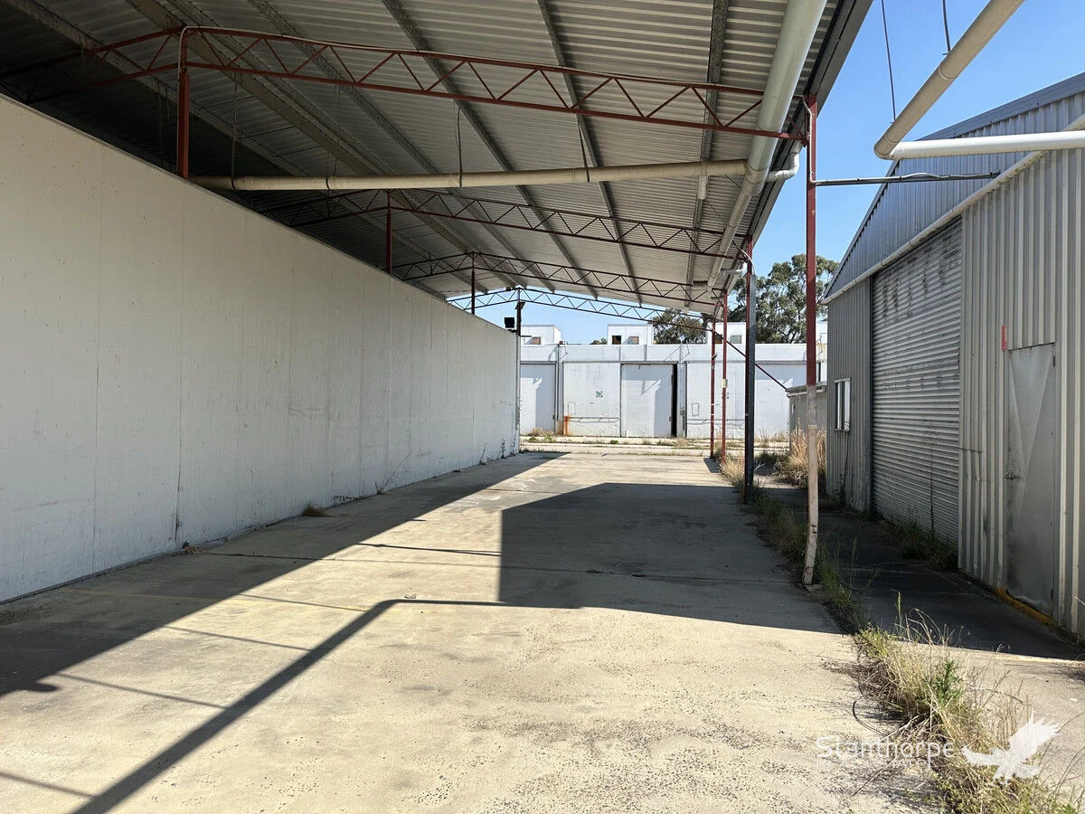 Image 19
