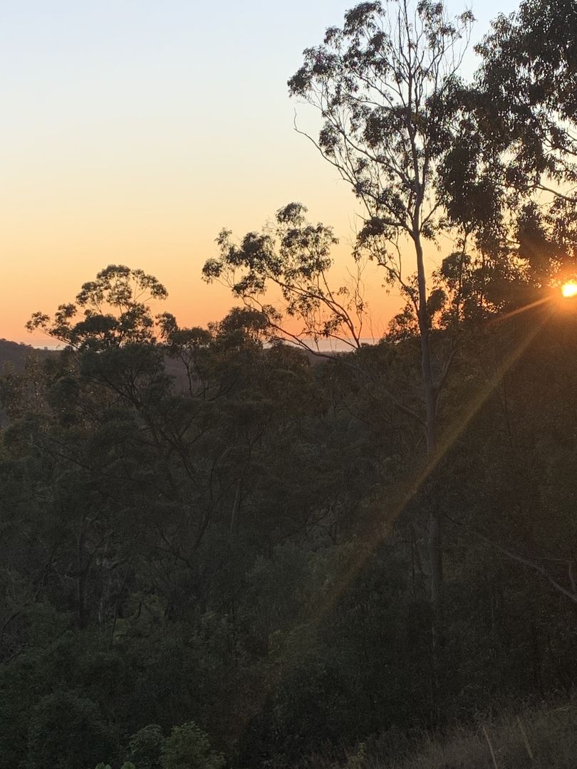 Tallebudgera Valley QLD 4228 Vacant Land for Sale Domain