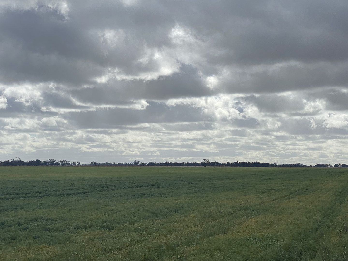 Warracknabeal VIC 3393, Image 1