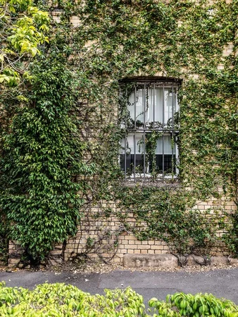 Additional image 14 of 4/48 Chermside Street, Teneriffe QLD 4005