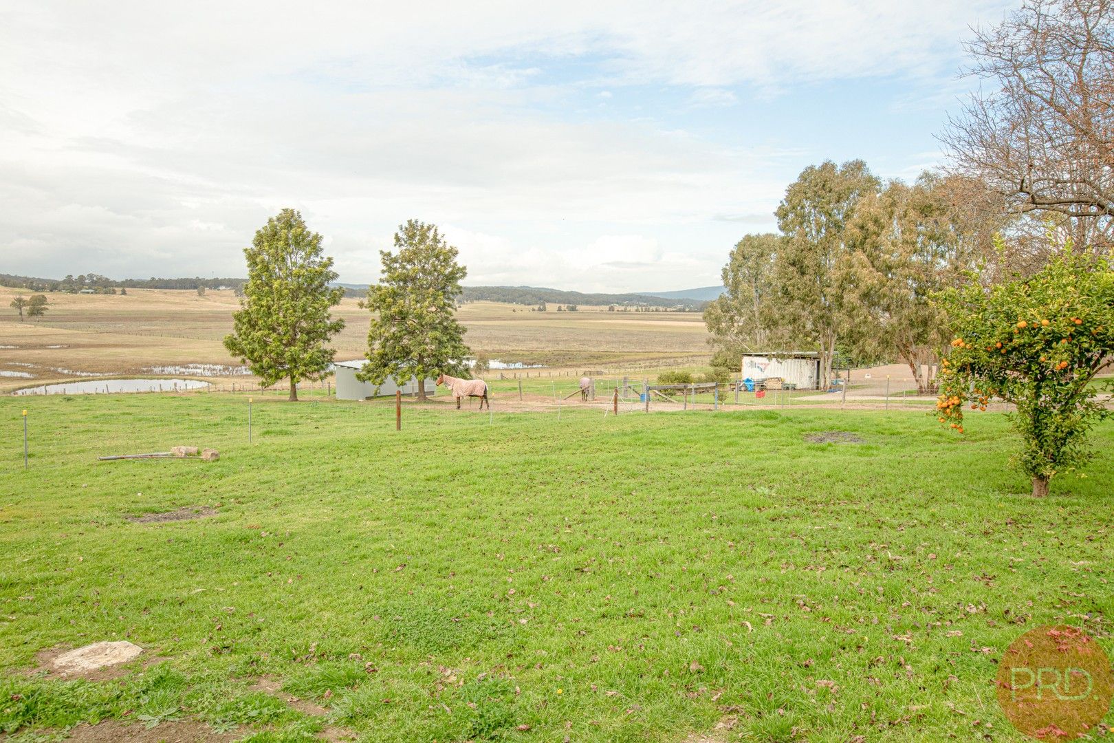52 Main Road, Cliftleigh NSW 2321, Image 0