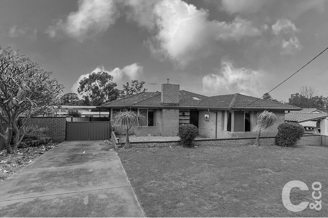 Picture of 31 Calista Avenue, CALISTA WA 6167