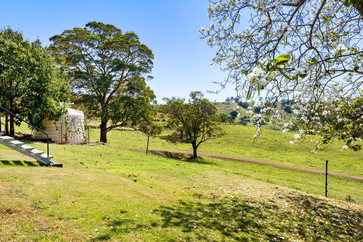 Image 21